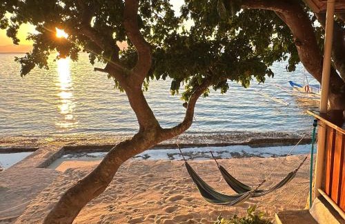 Basdiot Hotel | The Shuim Dive Resort Moalboal
