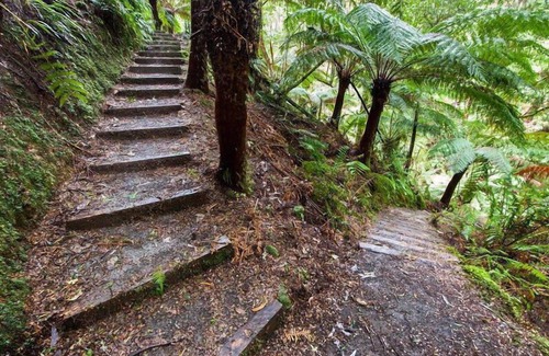 Tanybryn Cottage | The Source Otways
