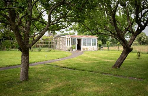 North Cadbury House | The Studio