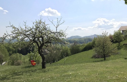 Smarje pri Jelsah Cabin | The thermal baths nearby, fishing, parking lot, many bike paths nearby, observation tower