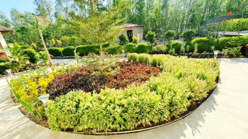 Ramnagar Resort | The Tiger Claw Resort