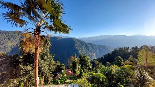 Kumai House | The Tranquil Farm Stay