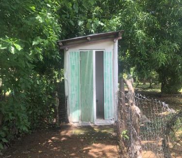 Jiquelite Hostel | The Traveler Palm Hostel