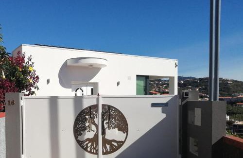 Canhas House | The Tree of Life House