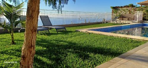 Canhas House | The Tree of Life House