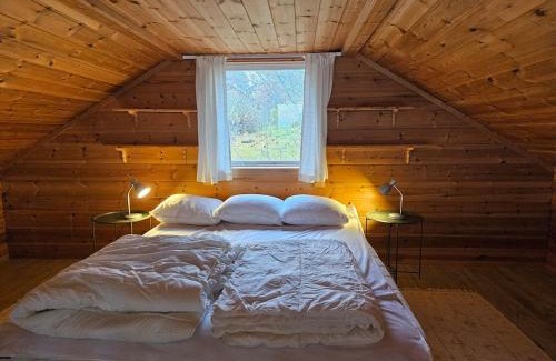 Skattungbyn Cabin | The view of Skattungbyn