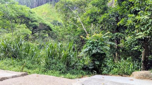 Ella House | The Village - Ella