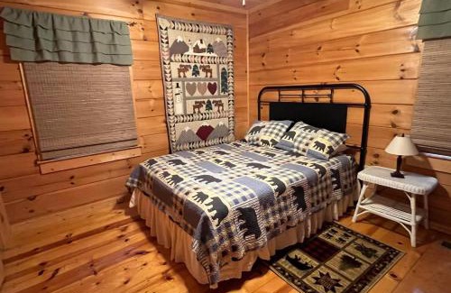Blue Ridge House | The Wander Inn Cabin In The BR Mtns w Hot Tub