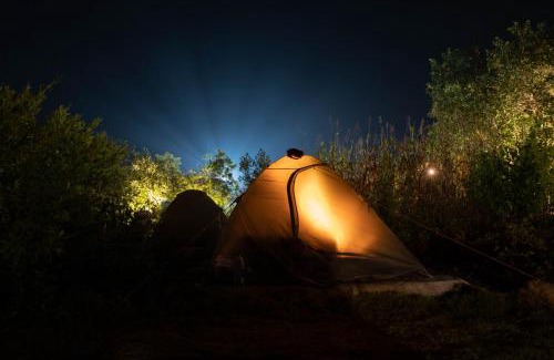 Vikarabad Hotel | The Wilderness Campsite