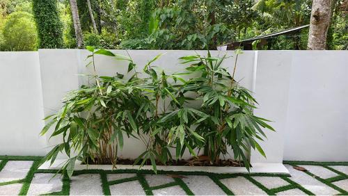 Nedumangad Villa | Theeram Guesthouse