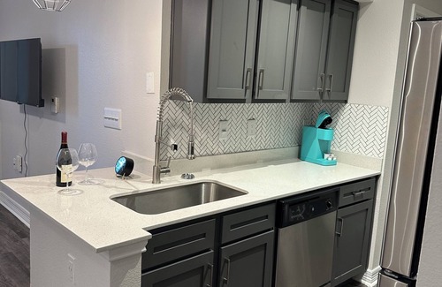South Central Houston Apartment | theme Paris Apartmentn/Midtown great Location !/Minutes from NRG Stadium/