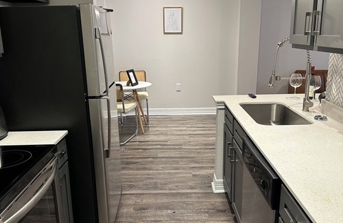 South Central Houston Apartment | theme Paris Apartmentn/Midtown great Location !/Minutes from NRG Stadium/