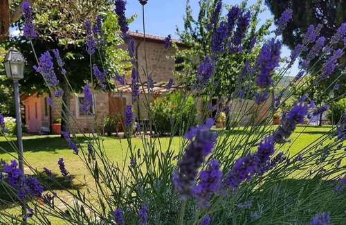 Donnini House | There is a charming cottage just for you