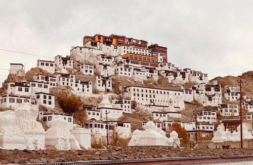 She House | Thiksey Eco Homestay