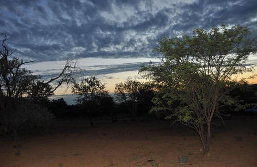 Potchefstroom Cabin | Thorntree Lodge