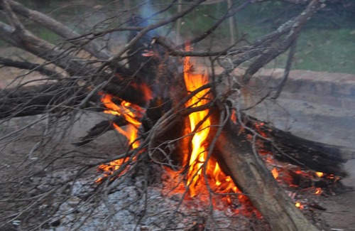 Potchefstroom Cabin | Thorntree Lodge