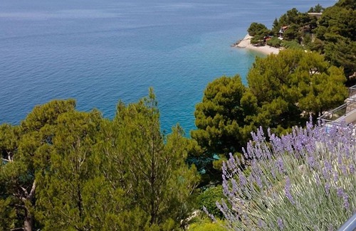 Brela Apartment | Three bedroom apartment with terrace and sea view Brela, Makarska (A-19205-c)