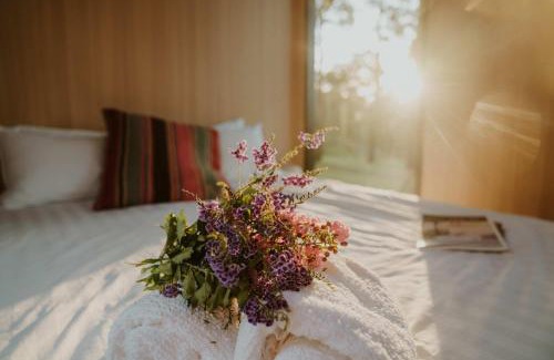 Rainbow Flat House | Three-Kalm & Four-Sol by Tiny Away