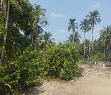 Chavakkad Apartment | Thrikarthika appartments