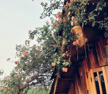 Moc Chau Cabin | Tiệm Cà Phê Mer Homestay & Coffee Mộc Châu
