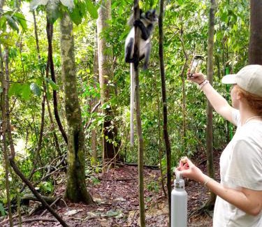 Bukit Lawang House | Tiga dara guest house jungle trekking