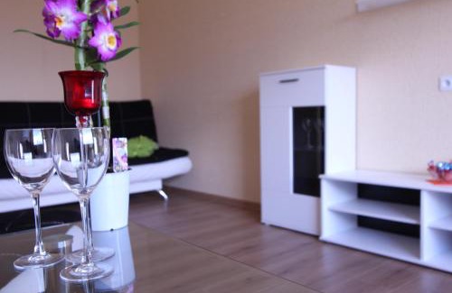 Siauliai City Center Apartment | Tilžės Apartment