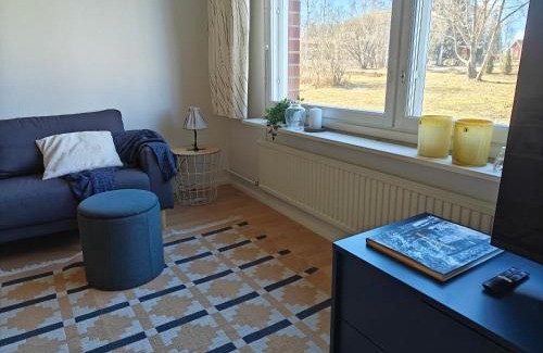 Lapinlahti Apartment | Tilava kaksio Lapinlahti keskusta