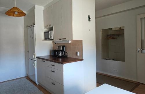 Lapinlahti Apartment | Tilava kaksio Lapinlahti keskusta