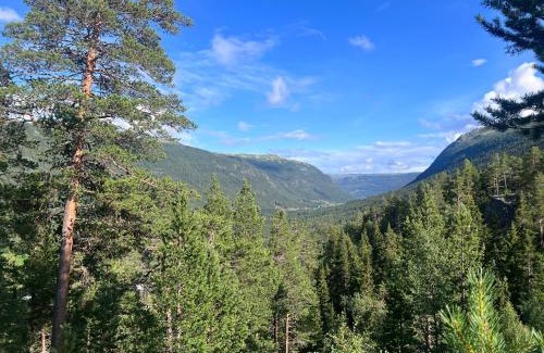 Nore og Uvdal House | Timber Lodge in Uvdal Skisenter VIEW/WIFI