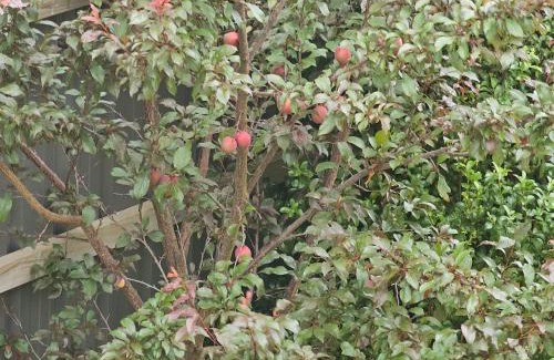 Botanic Ridge House | Timeless Safaris