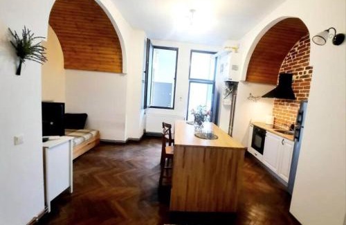 Old City Apartment | Timisoara Central 2 Bedroom Hotel Serviced Belle Vue Apart By the Park