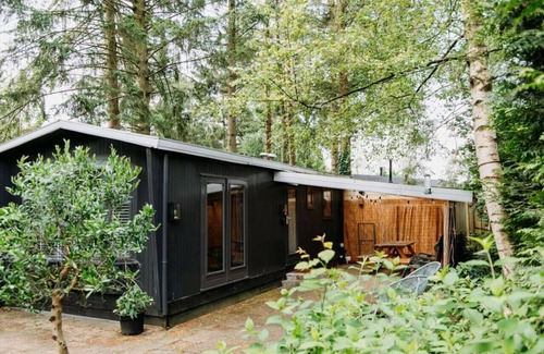 Krachtighuizen Cabin | Tiny Cabin Mae on the Veluwe