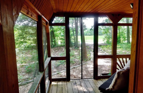 Culpeper Cabin | Tiny Cabin with beautiful country views. Pet friendly!