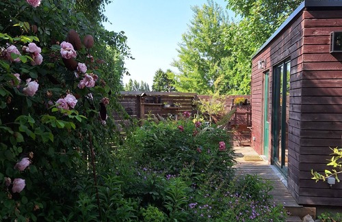 Andenne Cabin | Tiny house & private jacuzzi for a magical night Belgian Ardennes - Temps 1solite