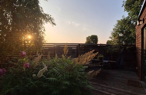Andenne Cabin | Tiny house & private jacuzzi for a magical night Belgian Ardennes - Temps 1solite