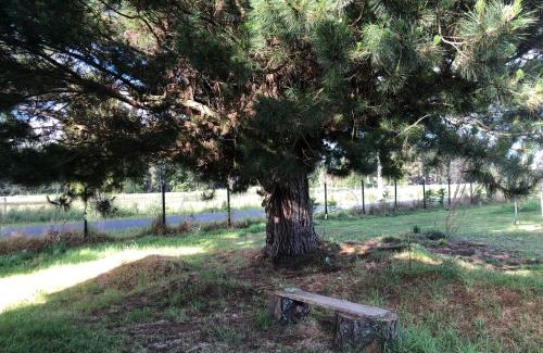 Frutillar Apartment | Tiny House, Tiny Black Frutillar