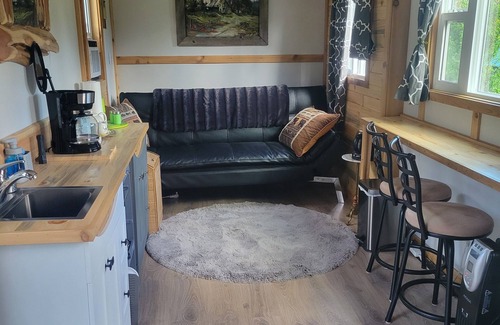 Nakusp House | Tiny House with stunning mountain views, steps from Arrow lake. Pet- friendly!
