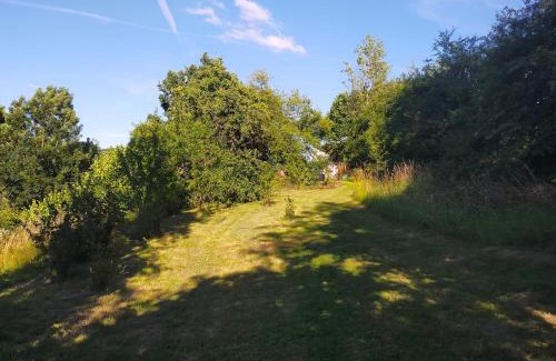 Messancy House | Tiny Messancy, une immersion dans la nature !