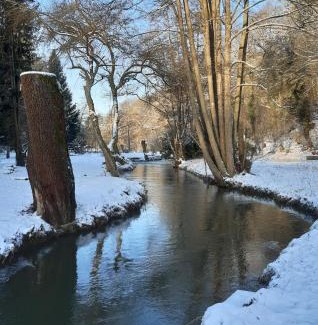 Falaen Ski Chalet | Tiny-river