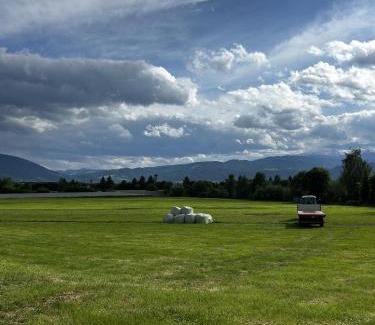 Styria Region Apartment | Tinyhome Spielberg -Container Lodge