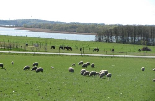 Ramlose Bed & Breakfast | Tisvildehegn BandB