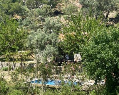 Ortaca Ski Chalet | Togo iztuzu Stonehouse-4