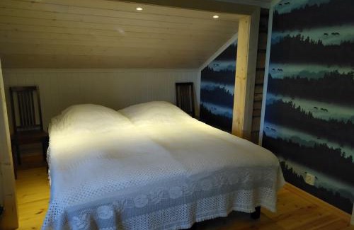 Alavus House | Tohninmäen Talo