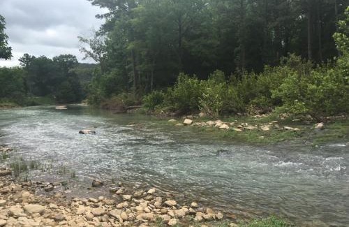 Pelsor Other | Toms Branch Campground
