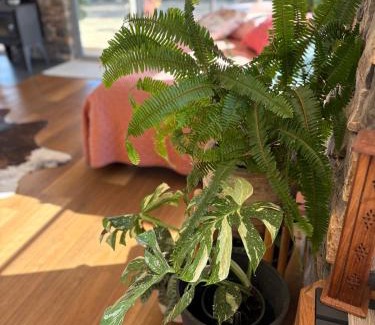 Toodyay House | Toodyay Upon Avon Guest House and Gallery