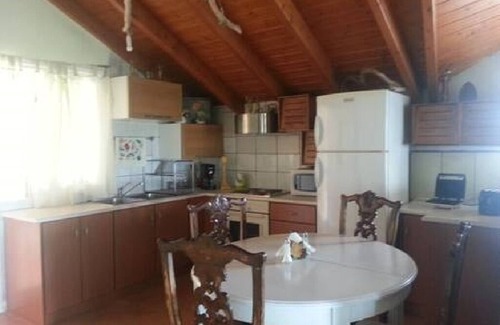 Vouvopotamos Ski Chalet | Top floor apartment,5’away from Acheron Springs.3bedroom 45sq.facing terrace