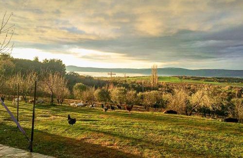 Canakkale House | Top Floor in a Farmhouse in Efil, Çanakkale