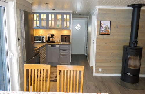 Aseral House | Torfinnbu by Interhome