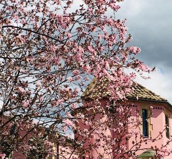 Tona Apartment | Torre de la Ferrería