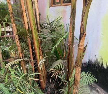 Kampala Apartment | Tortoise park , Ecolodge & Campsite